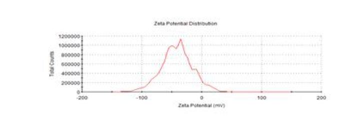 산화아연 (ZnO) 100 nm-negative의 zeta potential