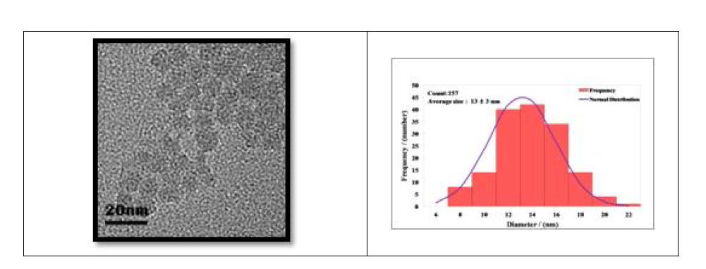 이산화규소 (SiO₂) 20 nm의 TEM 사진과 크기