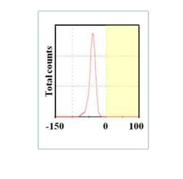 이산화규소 (SiO₂) 20 nm의 zeta potential