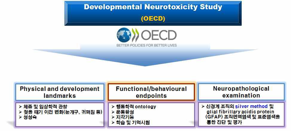 OECD 화학물질 시험에 관한 가이드라인; 발생신경독성 연구