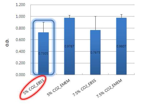 Fig 17. 토끼 각막세포주(SIRC)에 대한 반응 완충액 및 CO2량 변화 시 흡광도 측정 결과