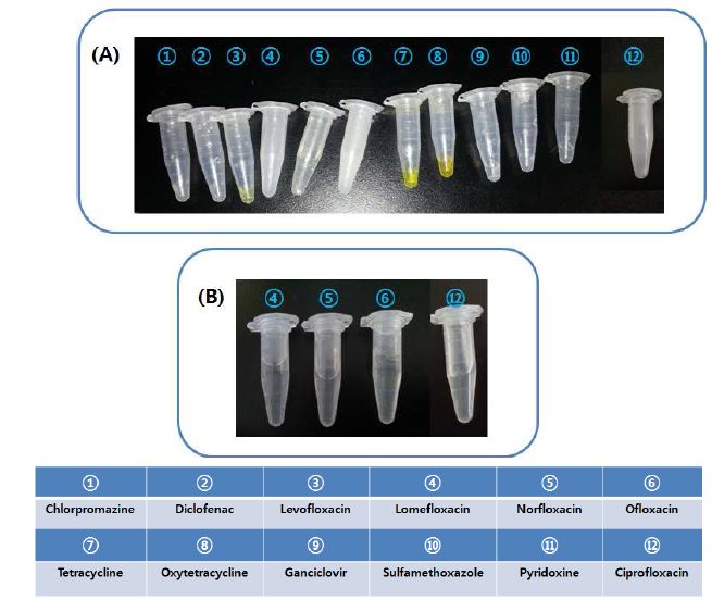 Fig. 17. 시험물질의 용매 선정 시험 결과. (A) 용매 : DMSO, (B) 용매 : PBS, 0.1N NaOH