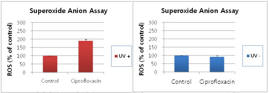 Fig. 41. 토끼각막세포주에 대한 ciprofloxacin의 superoxide anion assay 결과.