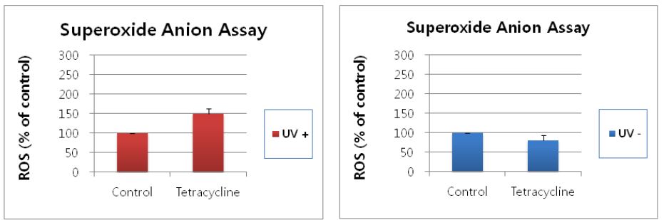 Fig. 42. 토끼각막세포주에 대한 tetracycline의 superoxide anion assay 결과.