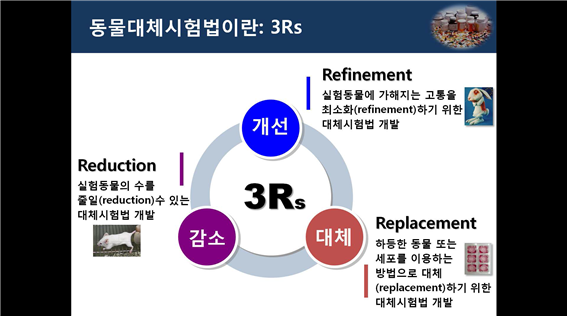 Fig. 1: 동물대체시험법