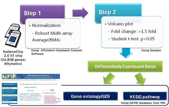 Microarray를 이용한 유전자 발현 분석과정