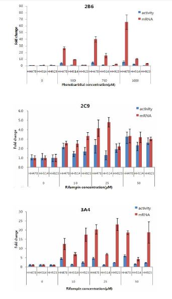 효소활성측정결과와 유전자발현분석결과간의 비교