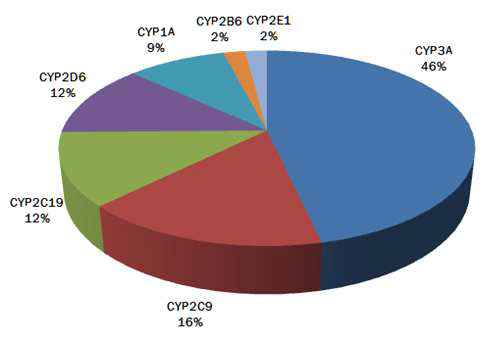 약물대사에 관여하는 주요 CYP450 isozyme