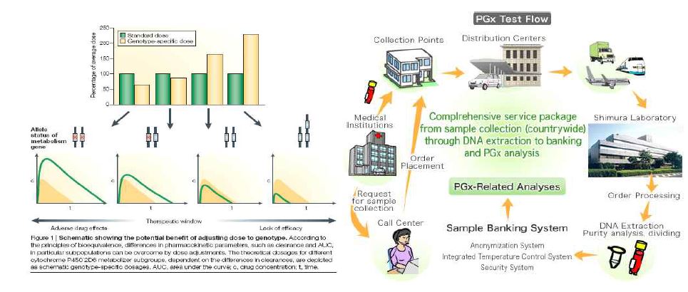 그림 1. Schematic showing the potentional benefit of adjusting dose to genotype & Pharmacogenomics Test Flow