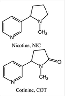 그림 1-6. 니코틴과 코티닌의 화학 구조