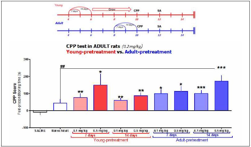 그림 4-19. The rewarding effects of nicotine (0.2 mg/kg) in drug-na?ve, young-pretreated, or adult-pretreated adult rats. The pretreated rats were injected with nicotine (0.1 or 0.5 mg/kg) for 7 or 14 days prior to the CPP test. *P<0.05, **P<0.1, ***P<0.001, significantly different from the control (SALINE) group. ##P<0.1, significantly different from na?ve group