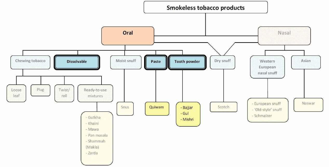 규제 검토가 필요한 다양한 무연 담배 제품들