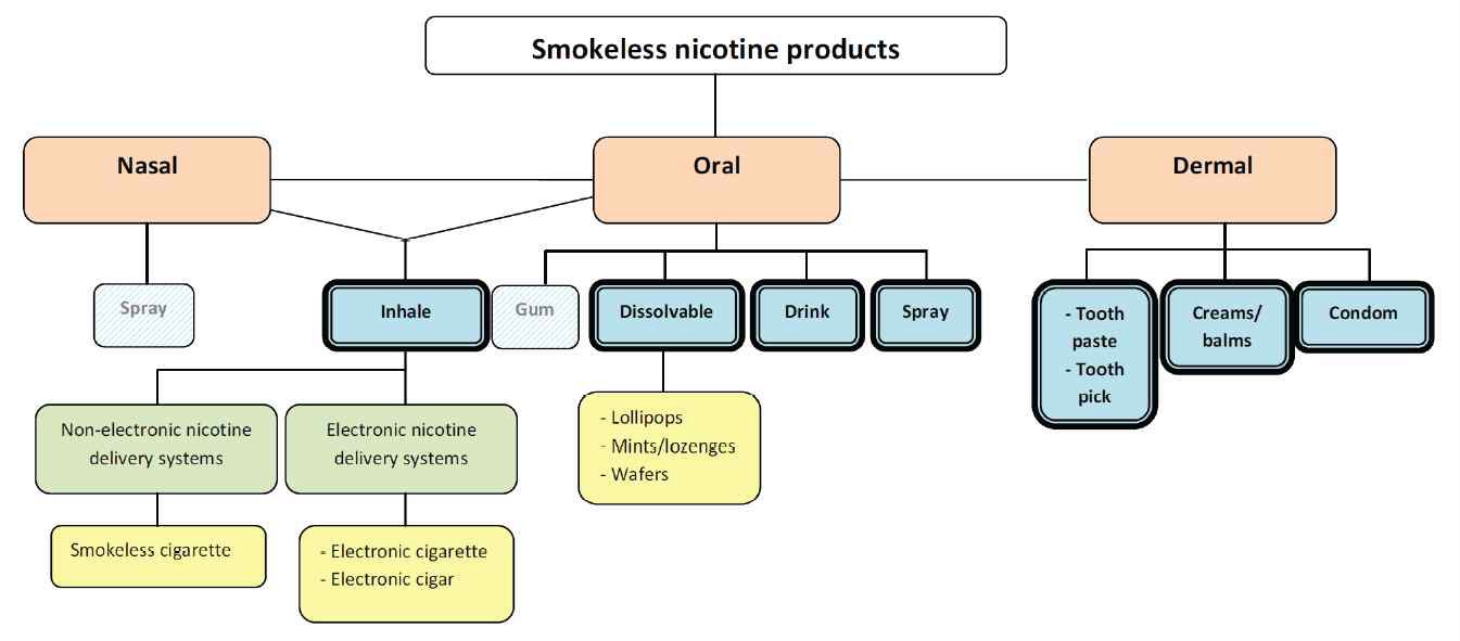 규제 검토가 필요한 다양한 무연 니코틴 제품들