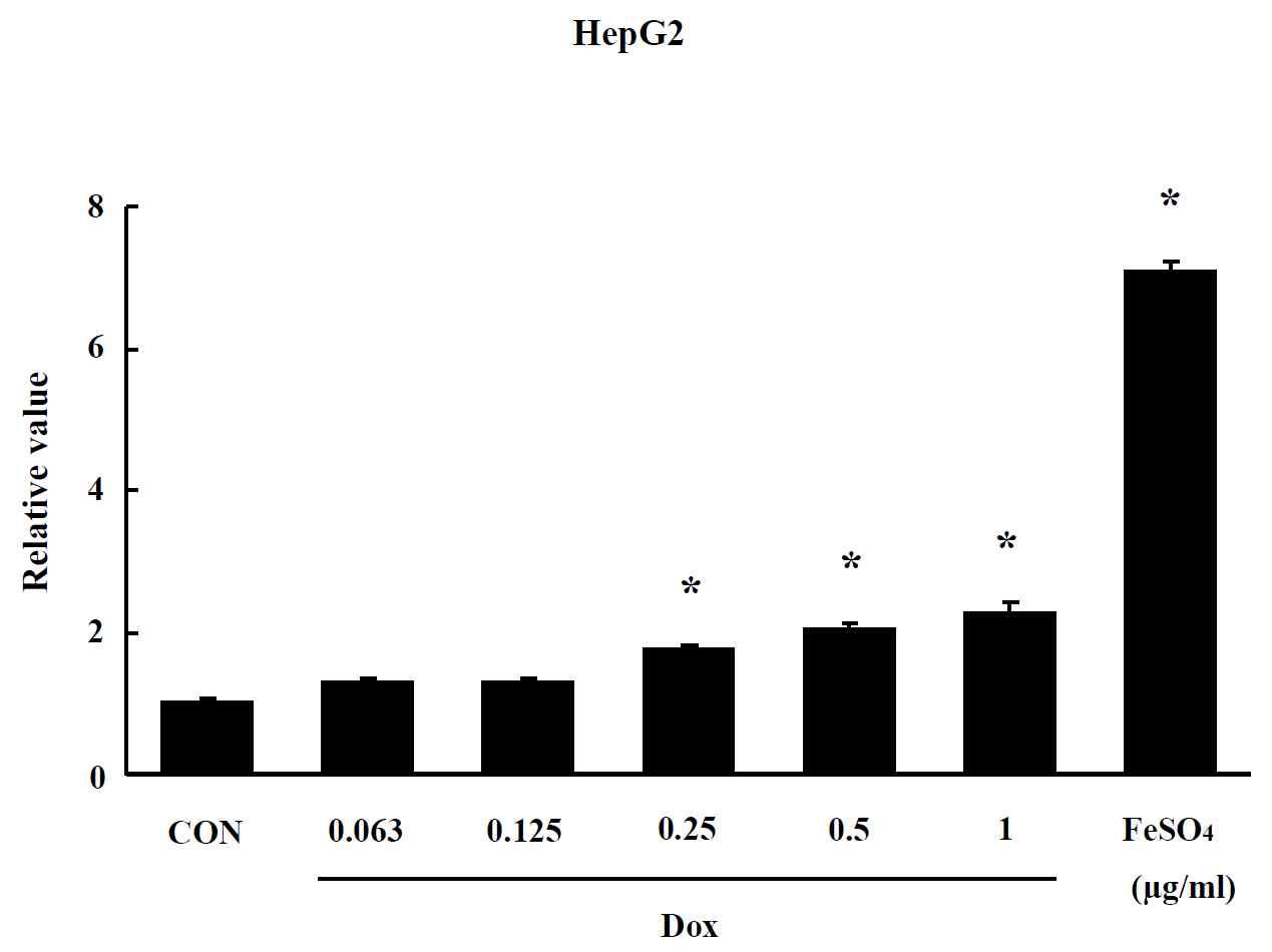 Effect of CNT on oxidative stress in HepG2 cells. The level of ROS production was expressed as the relative value of the untreated control group after 24 hr exposure to CNT. Data are shown as means ± SE (n = 5). * p<0.05, significantly different from the control