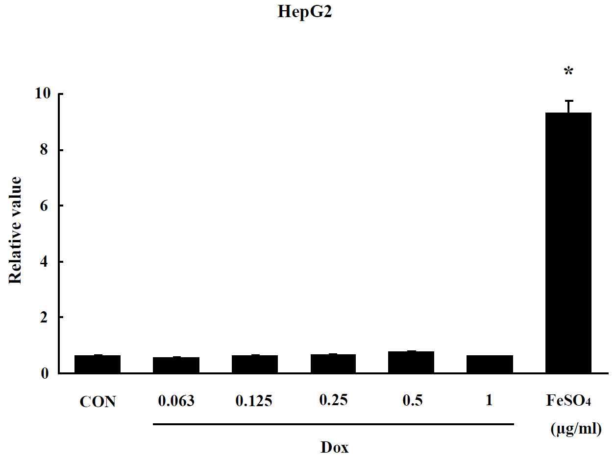 Effect of Dox on oxidative stress in HepG2 cells. The level of ROS production was expressed as the relative value of the untreated control group after 24 hr exposure to Dox. Data are shown as means ± SE (n = 5). * p<0.05, significantly different from the control.