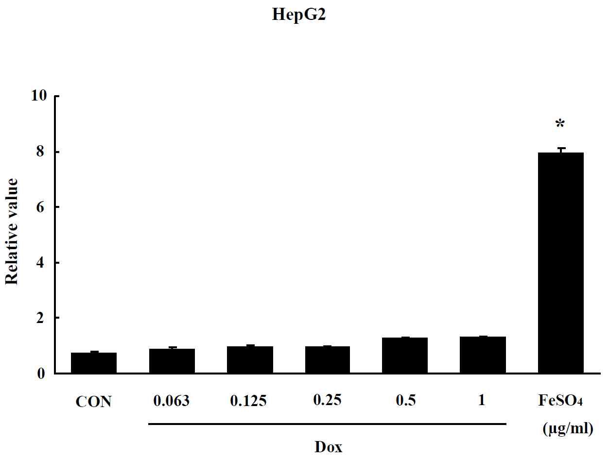 Effect of Doxil on oxidative stress in HepG2 cells. The level of ROS production was expressed as the relative value of the untreated control group after 24 hr exposure to Doxil. Data are shown as means ± SE (n = 5). * p<0.05, significantly different from the control.