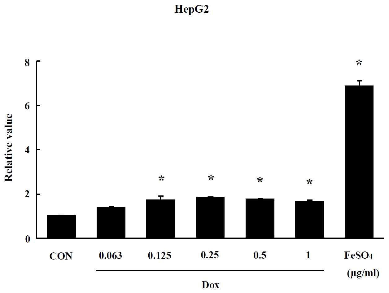 Effect of Dox-CNT on oxidative stress in HepG2 cells. The level of ROS production was expressed as the relative value of the untreated control group after 24 hr exposure to Dox-CNT. Data are shown as means ± SE (n = 5). * p<0.05, significantly different from the control