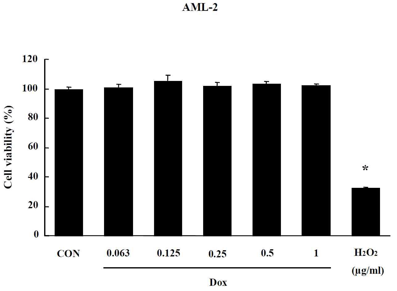 Effects of Liposome on MTT assay in AML-2 cells. Cells were treated with drug for 24 hr. Data are shown as means ± SE (n = 5). * p<0.05, significantly different from the control.