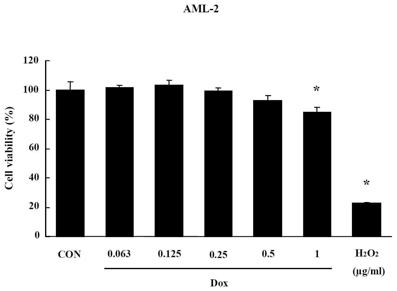 Effects of CNT on MTT assay in AML-2 cells. Cells were treated with drug for 24 hr. Data are shown as means ± SE (n = 5). * p<0.05, significantly different from the control.