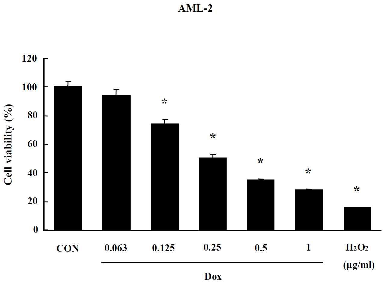 Effects of Doxil on MTT assay in AML-2 cells. Cells were treated with drug for 24 hr. Data are shown as means ± SE (n = 5). * p<0.05, significantly different from the control