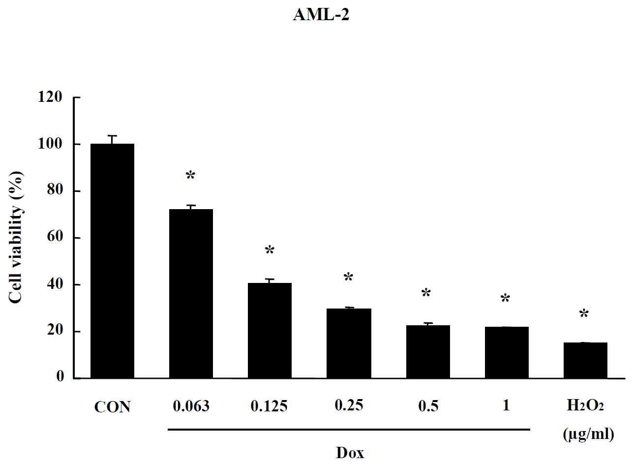 Effects of Dox-CNT on MTT assay in AML-2 cells. Cells were treated with drug for 24 hr. Data are shown as means ± SE (n = 5). * p<0.05, significantly different from the control.