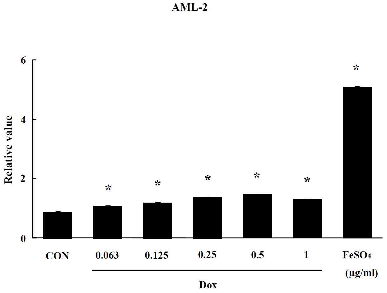 Effect of Dox-CNT on oxidative stress in AML-2 cells. The level of ROS production was expressed as the relative value of the untreated control group after 24 hr exposure to Dox-CNT. Data are shown as means ± SE (n = 5). * p<0.05, significantly different from the control.