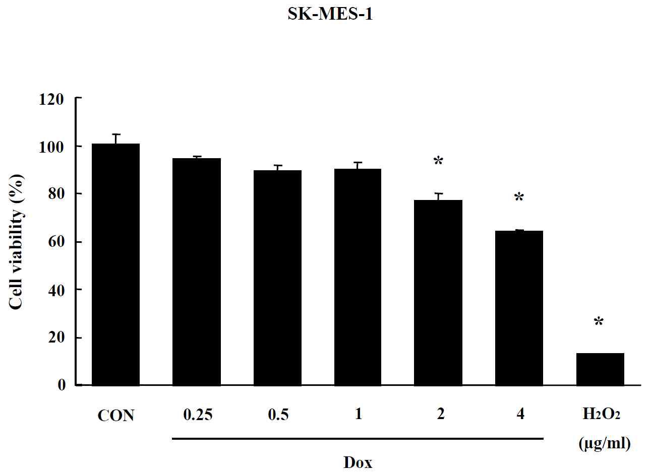 Effects of Dox on MTT assay in SK-MES-1 cells. Cells were treated with drug for 24 hr. Data are shown as means ± SE (n = 5). * p<0.05, significantly different from the control