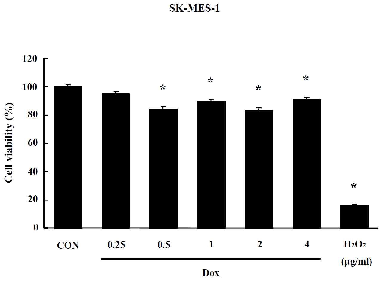 Effects of Doxil on MTT assay in SK-MES-1 cells. Cells were treated with drug for 24 hr. Data are shown as means ± SE (n = 5). * p<0.05, significantly different from the control