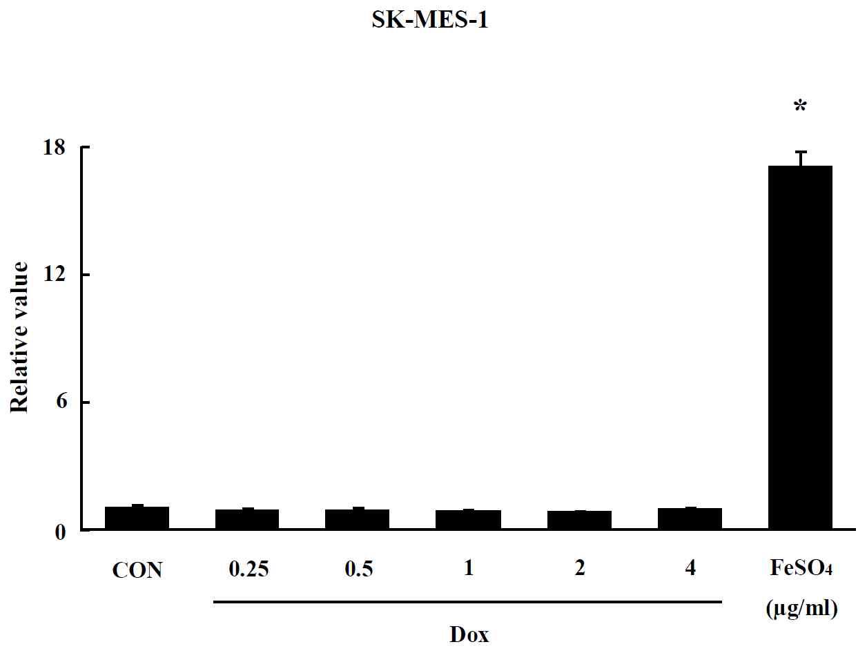 Effect of Liposome on oxidative stress in SK-MES-1 cells. The level of ROS production was expressed as the relative value of the untreated control group after 24 hr exposure to Liposome. Data are shown as means ± SE (n = 5). * p<0.05, significantly different from the control.