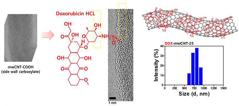 카본 나노물질 기반 항암제 (Doxorubicin-Carbon Nanomaterials)의 제조방법 및 물리화학적 분석