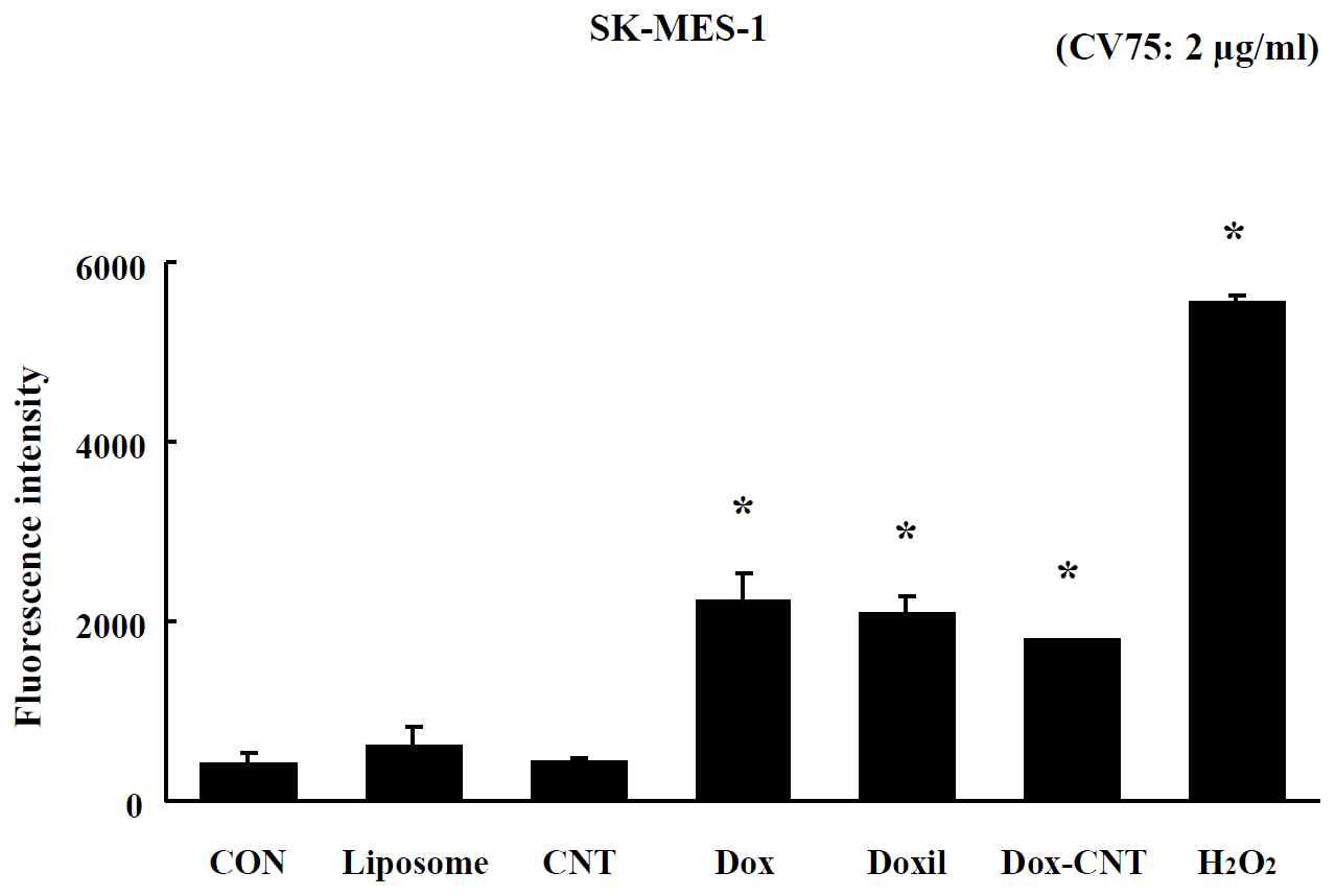 Effects of nano-anticancer drugs in the mitochondrial potential of SK-MES-1 cells exposed to 2 μg/ml and analyzed by JC-1 staining. Data are shown as means ± SE (n = 5). * p<0.05, significantly different from the control.