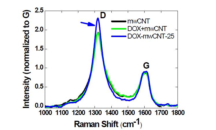 Raman analysis of CNT-Dox