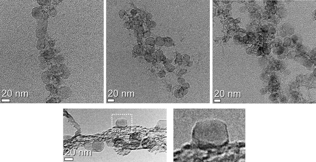 Cryo-TEM images of CNT-Dox.