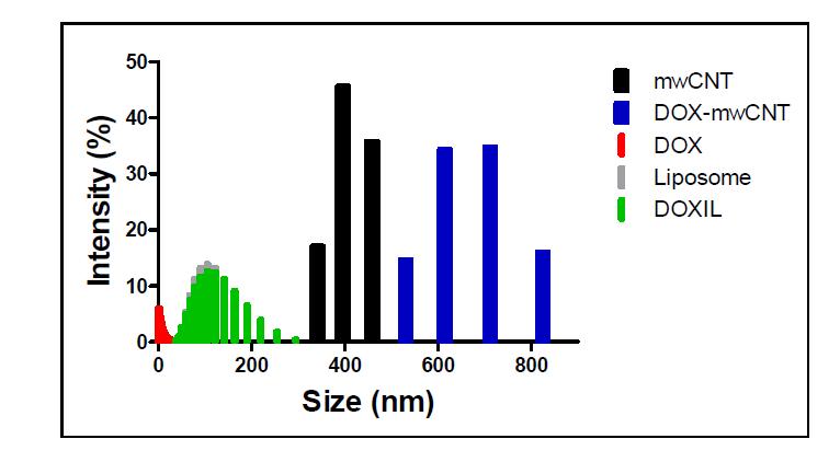 Size of various nanoparticles including mwCNT, Dox-CNT, Dox, Doxil and Liposome.