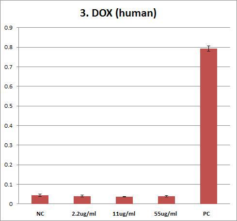 Effects of Doxorubicin on human erythrocyte. Erythrocyte were treated with Doxorubicin (55 ug/ml, 11 ug/ml, 2.2 ug/ml) for 1hr. The results are presented as mean ± SE