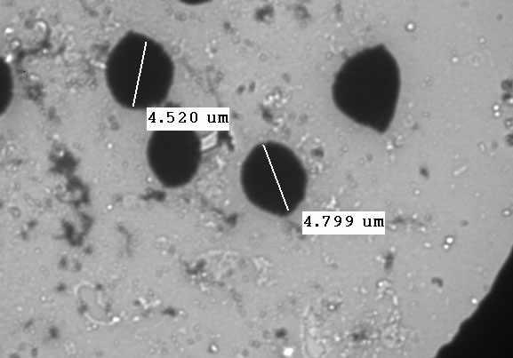 Effects of CNT-DOX on mouse erythrocyte morphology observed under the TEM (transmission electron microscopy). Erythrocyte were treated with CNT-DOX (55 ug/ml) for 1hrs.