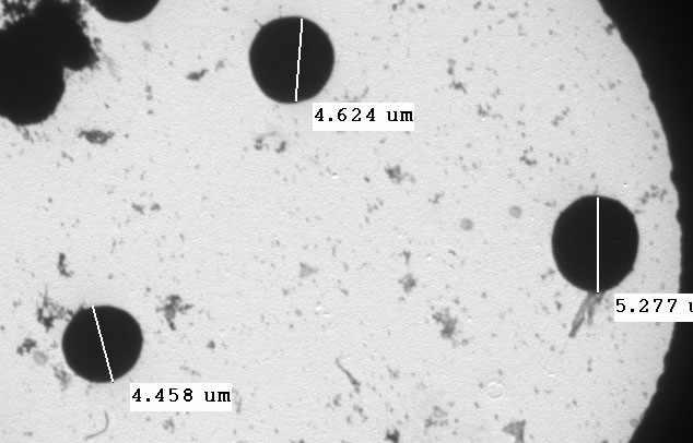 Effects of DOX on mouse erythrocyte morphology observed under the TEM (transmission electron microscopy). Erythrocyte were treated with DOX (55 ug/ml) for 1hrs.