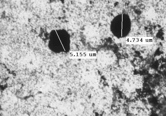 Effects of Liposome on mouse erythrocyte morphology observed under the TEM (transmission electron microscopy). Erythrocyte were treated with Liposome (55 ug/ml) for 1hrs.