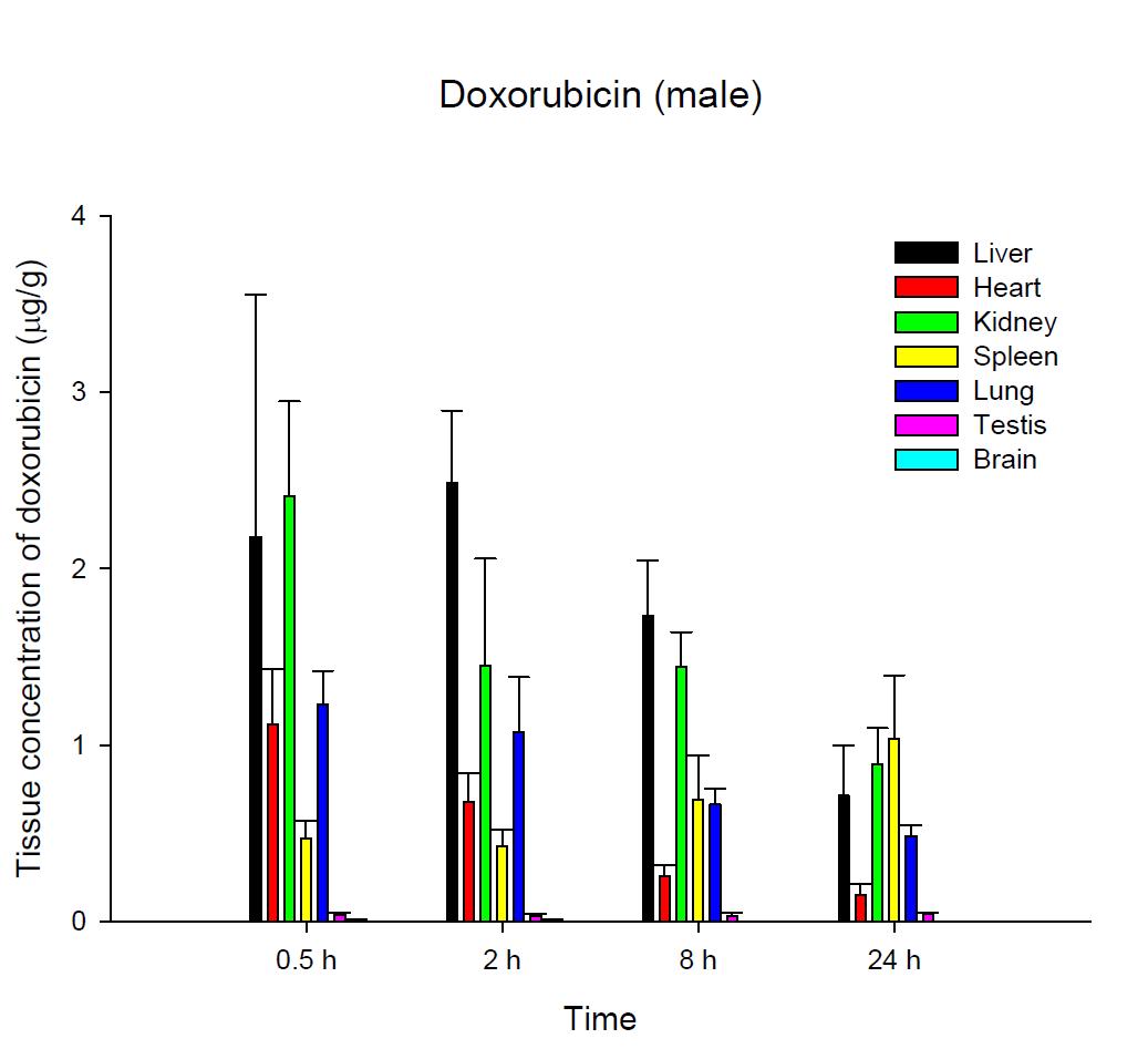 Time courses of tissue doxorubicin amounts after an intravenous injection of DOX 5 mg/kg in male ICR mice