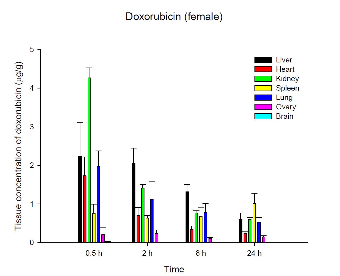 Time courses of tissue doxorubicin concentrations after an intravenous injection of DOX 5 mg/kg in female ICR mice