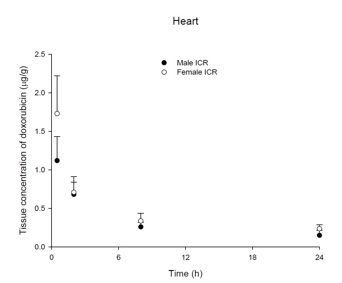 Time courses of doxorubicin amount in the heart after an intravenous injection of DOX 5 mg/kg in male and female ICR mice