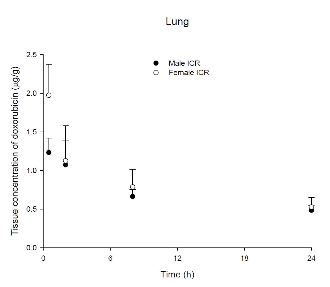 Time courses of doxorubicin amount in the lung after an intravenous injection of DOX 5 mg/kg in male and female ICR mice