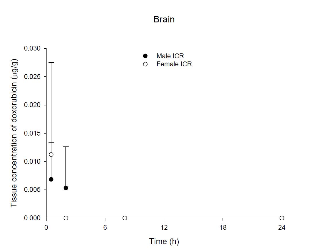 Time courses of doxorubicin amount in the brain after an intravenous injection of DOX 5 mg/kg in male and female ICR mice