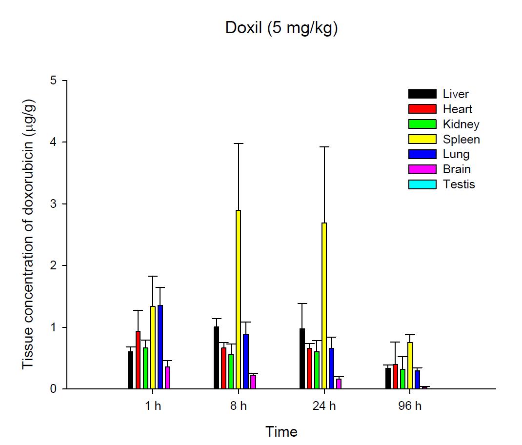Time courses of tissue doxorubicin amounts after an intravenous injection of Doxil® 5 mg/kg in male ICR mice