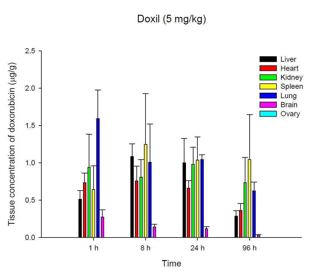 Time courses of tissue doxorubicin amounts after an intravenous injection of Doxil® 5 mg/kg in female ICR mice