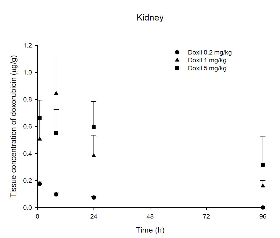 Time courses of doxorubicin amount in the kidney after an intravenous injection of Doxil® 0.2, 1 and 5 mg/kg in male ICR mice