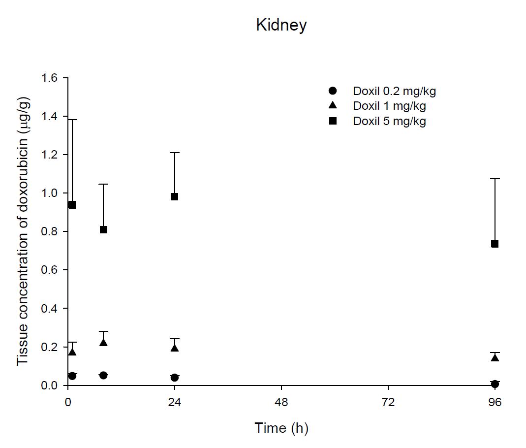 Time courses of doxorubicin amount in the kidney after an intravenous injection of Doxil® 0.2, 1 and 5 mg/kg in female ICR mice