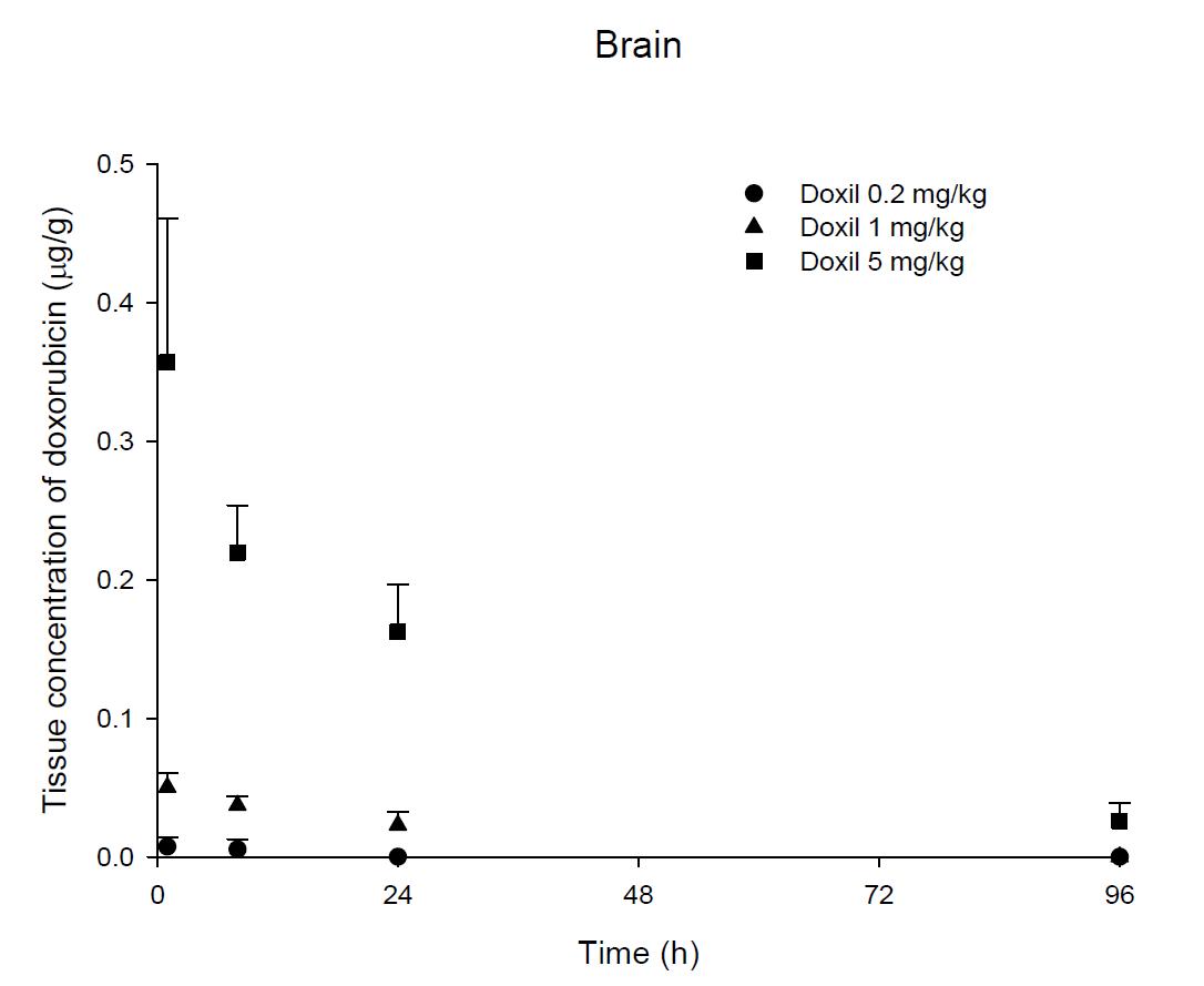 Time courses of doxorubicin amount in the brain after an intravenous injection of Doxil® 0.2, 1 and 5 mg/kg in male ICR mice