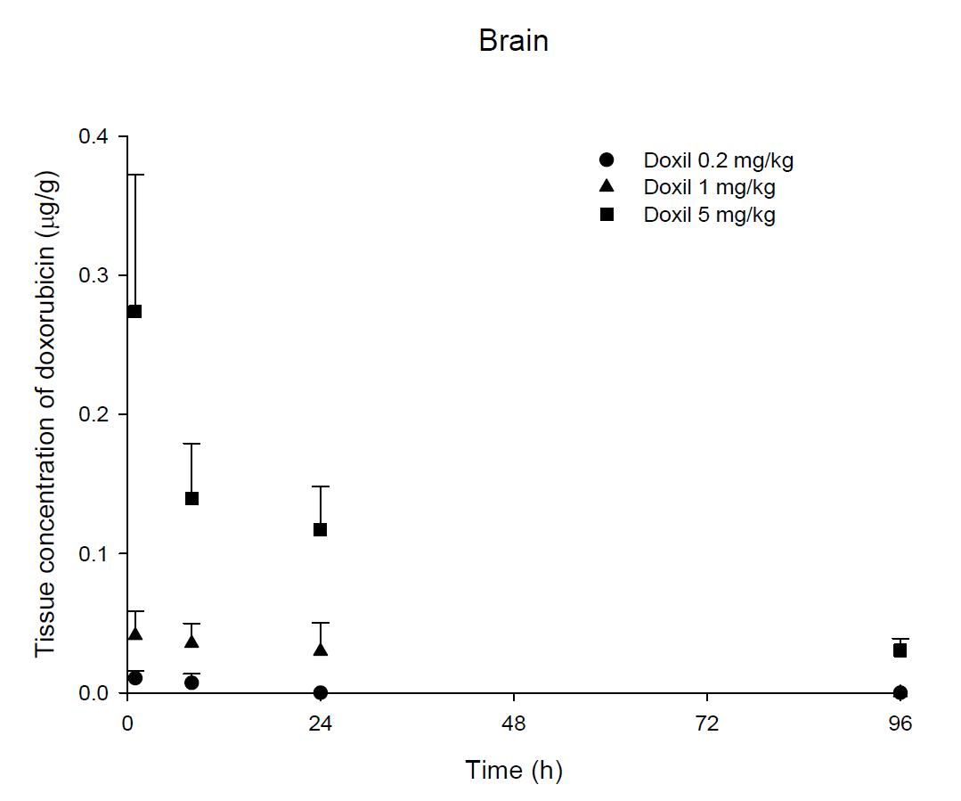 Time courses of doxorubicin amount in the brain after an intravenous injection of Doxil® 0.2, 1 and 5 mg/kg in female ICR mice
