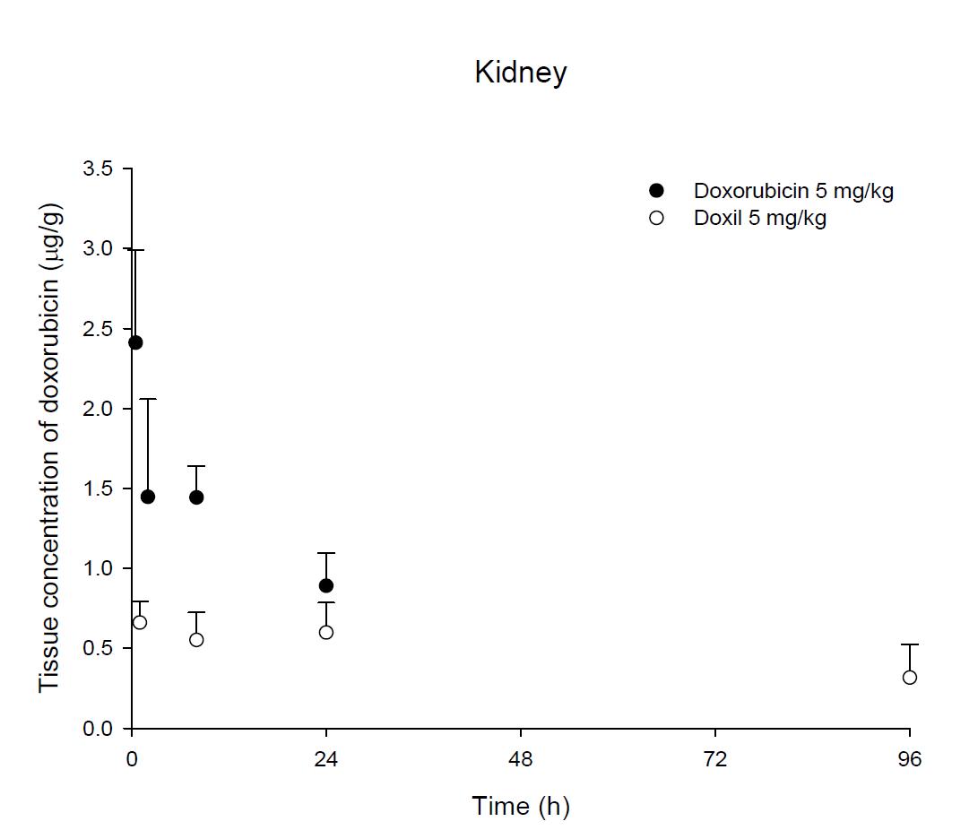 Time courses of doxorubicin amount in the kidney after an intravenous injection of DOX or Doxil® 5 mg/kg in male ICR mice